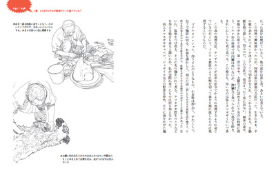 サンプル画像2