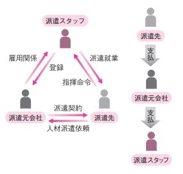 P53　参照図