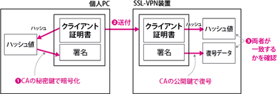 zu_P242_wrong.png