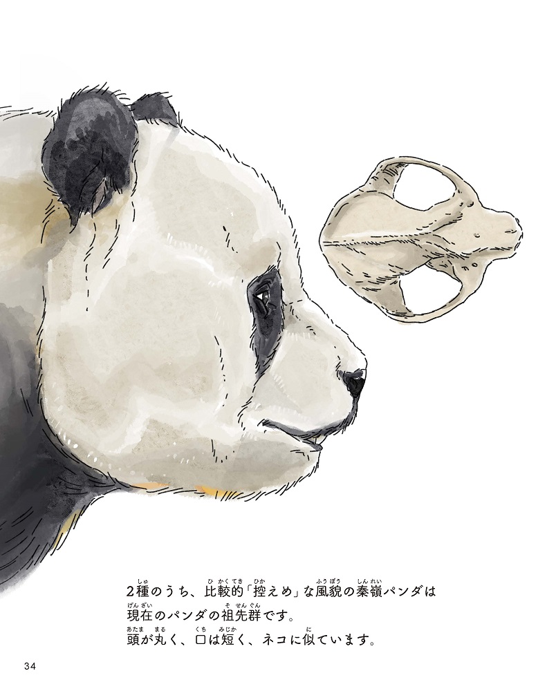 サンプル画像