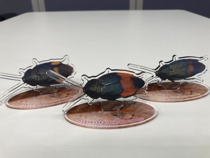 cockroach_5.jpg