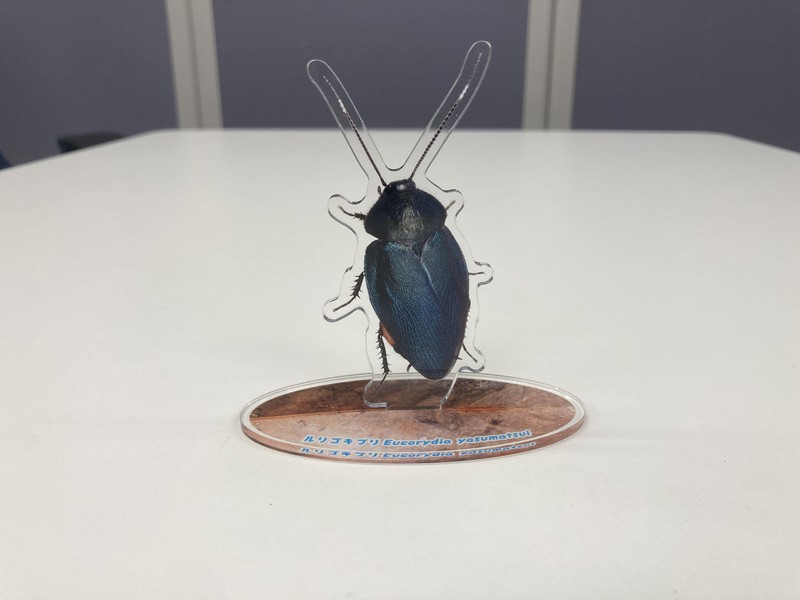 cockroach_6.jpg