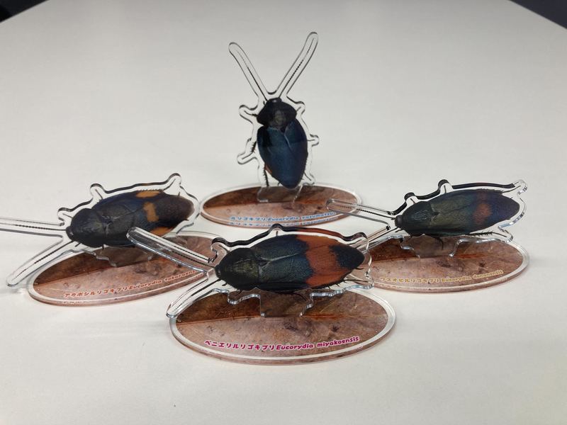cockroach_7.jpg