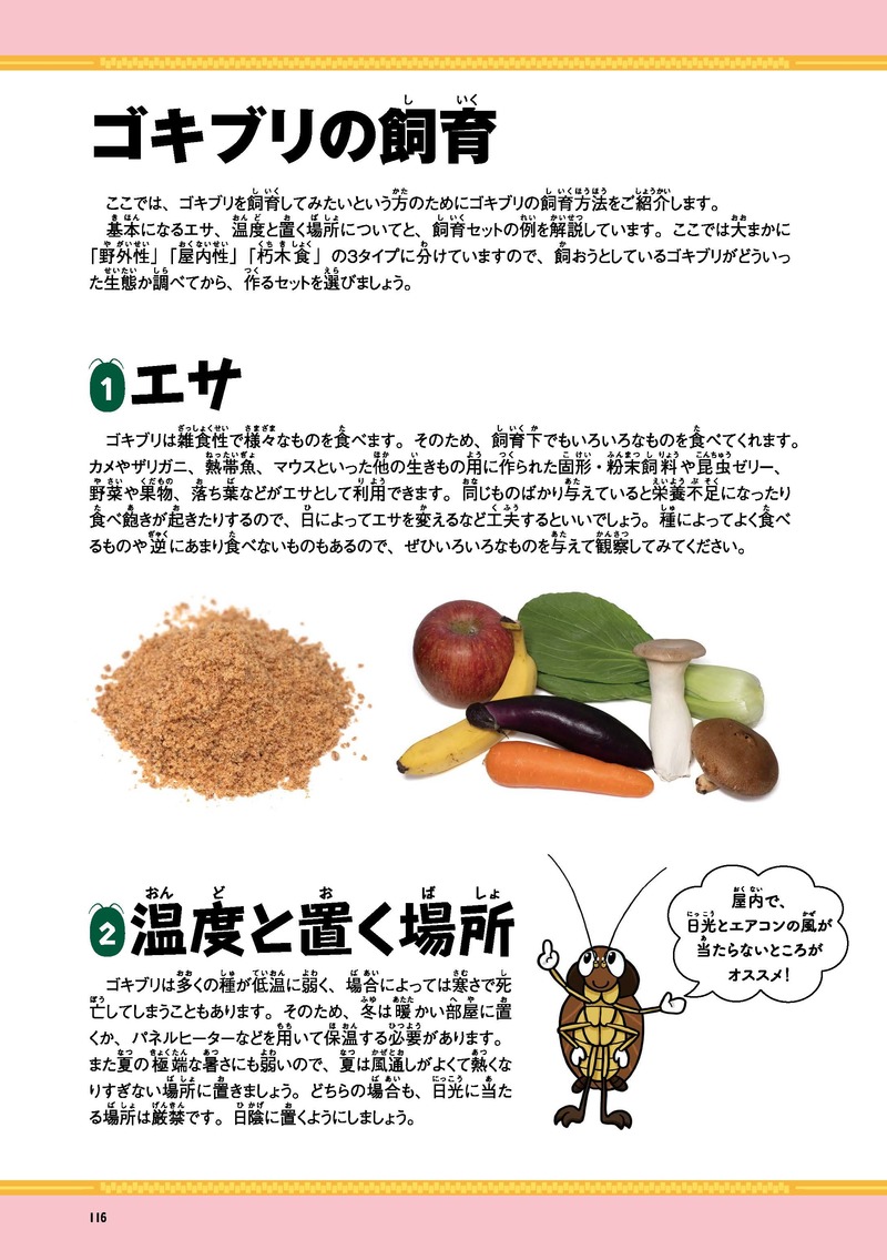 cockroach_1.jpg