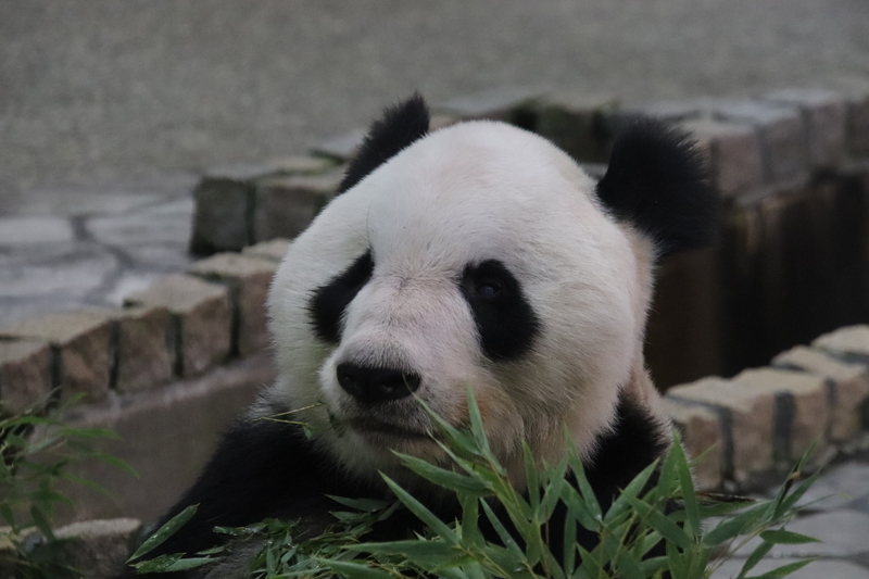 永明_12.jpg