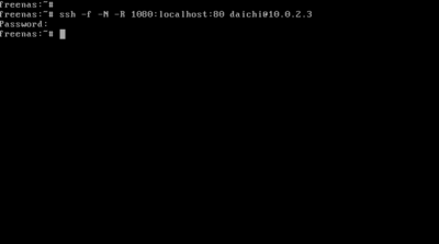 図3　NATで動く仮想環境内で試すなら，sshでフォワーディングすればホストOSからもアクセスできる