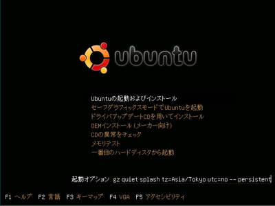 図1　起動オプションを変更している様子