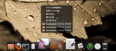 図6　同じアプリケーションが複数起動している場合には，アイコンの下に印が2つ表示される