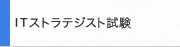 ITストラテジスト試験