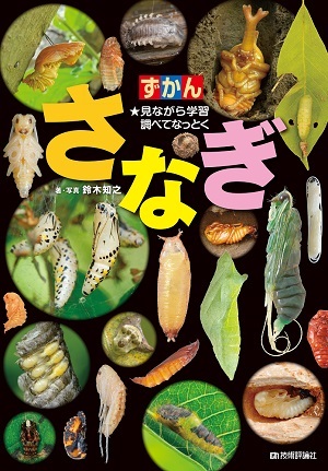 「ずかん
さなぎ」のカバー画像
