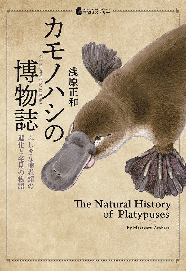 カモノハシの博物誌 ふしぎな哺乳類の進化と発見の物語 書籍案内 技術評論社