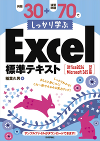 書籍「例題30＋演習問題70でしっかり学ぶExcel標準テキスト Office 2024/Microsoft 365対応版」のカバー画像