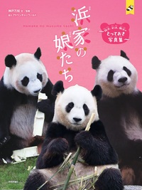 書籍「浜家の娘たち」のカバー画像