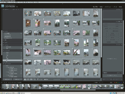 図1 Adobe Photoshop Lightroomで写真を閲覧 図1 Adobe Photoshop Lightroomで写真を閲覧