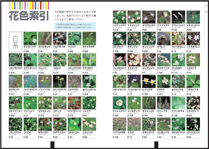 花色索引でまずチェック! 花色索引でまずチェック!