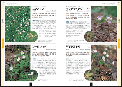 目星をつけて,本文チェック 目星をつけて,本文チェッ