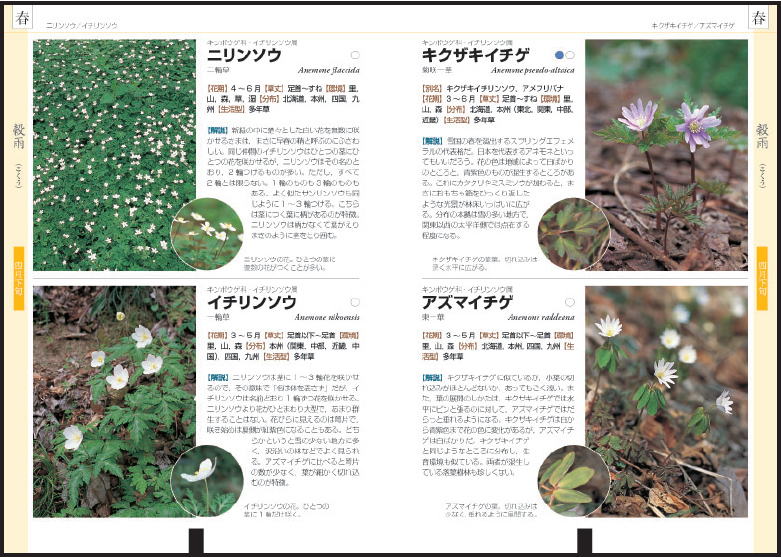 目星をつけて、本文チェッ