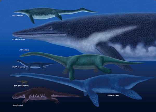 「三畳紀の生物」より 「三畳紀の生物」より