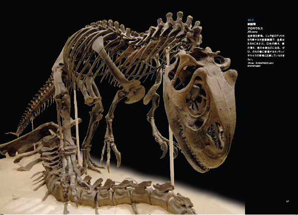 「ジュラ紀の生物」より 「ジュラ紀の生物」より