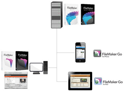 図1　FileMaker Serverにファイルをホストし，FileMaker Pro/FileMaker Goで利用