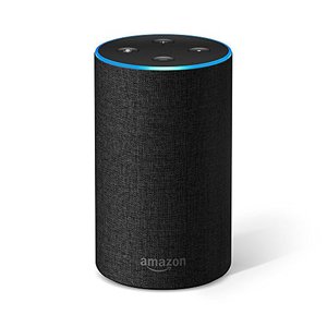 Google Home Amazon Echo