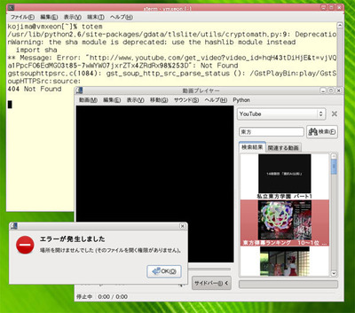 図2　ある日，totemでYouTubeを見れなくなった。