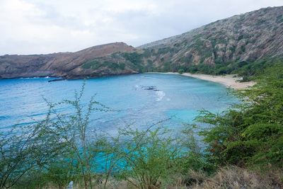 ハナウマ湾全景。ひと頃より落ちたとはいえ,相変わらず上から見下ろすと圧巻の美しさ。 ハナウマ湾全景。ひと頃より落ちたとはいえ,相変わらず上から見下ろすと圧巻の美しさ。