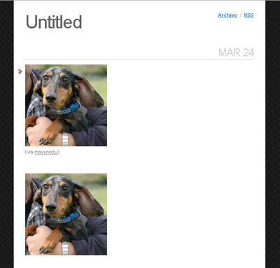 図2　自分がPostした写真（下）と，他の人からReBlogした写真（上）。違いは下のほうにあるリンクだけ