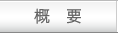 概要
