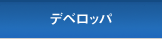 DEVELOPER STAGE