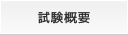 試験概要