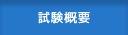 試験概要