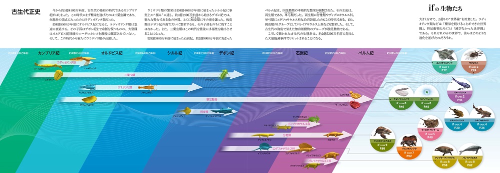 サンプル画像