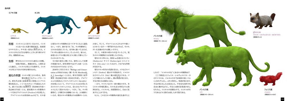 サンプル画像