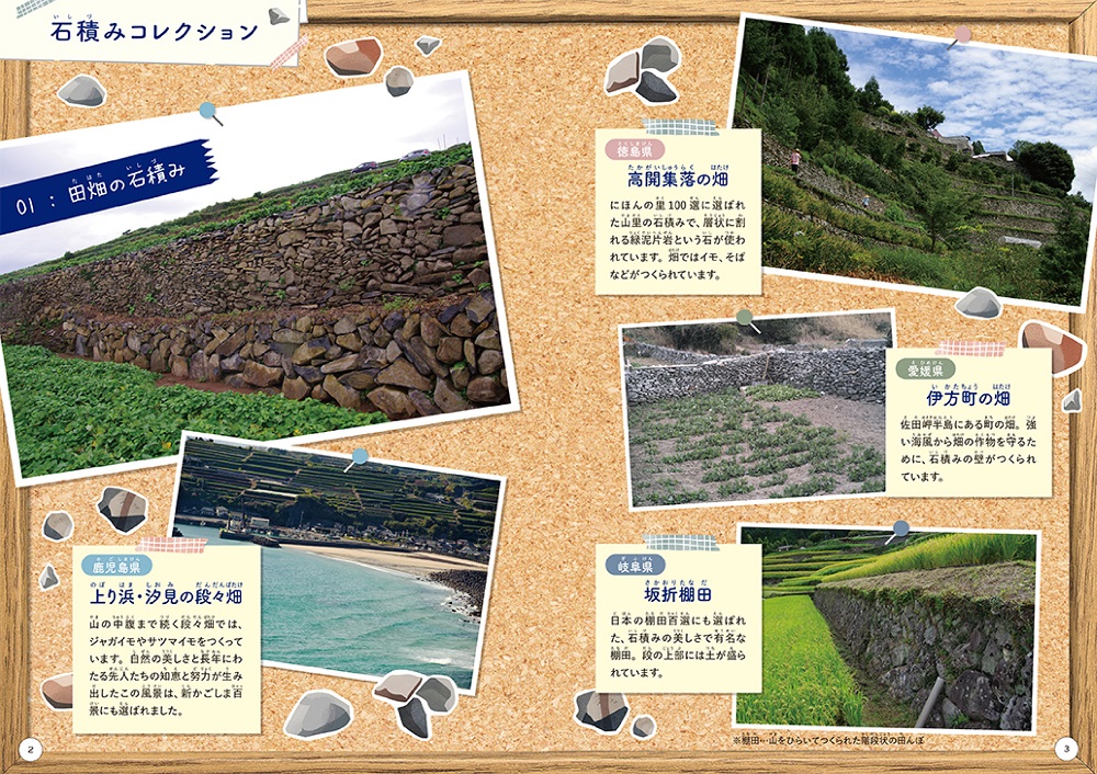 サンプル画像