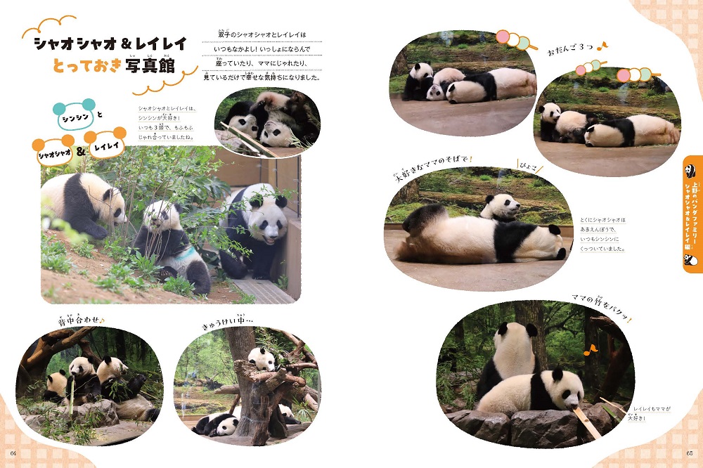 サンプル画像
