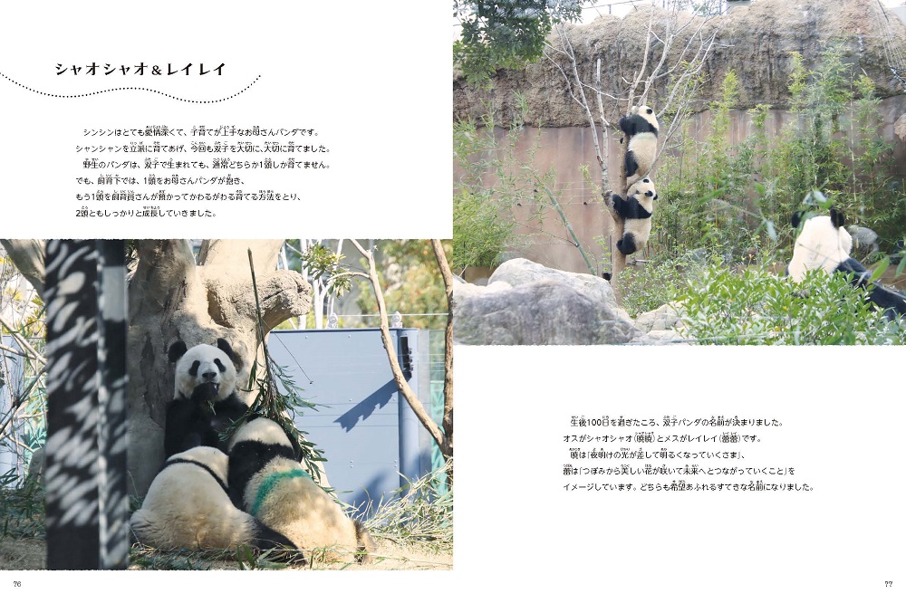 サンプル画像