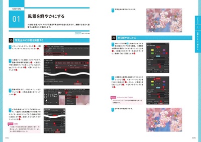 sample