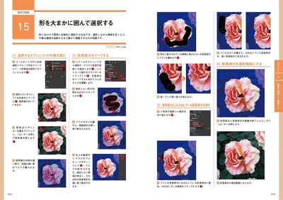 sample