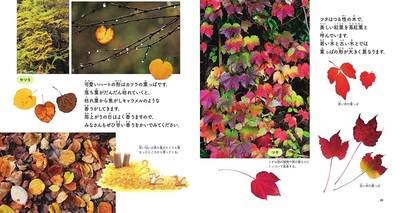 sample
