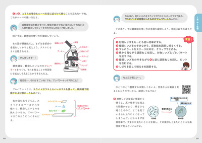 sample