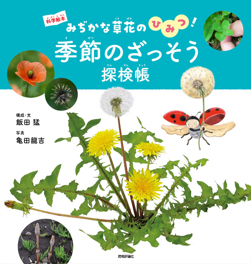書籍「季節のざっそう探検帳」のカバー画像