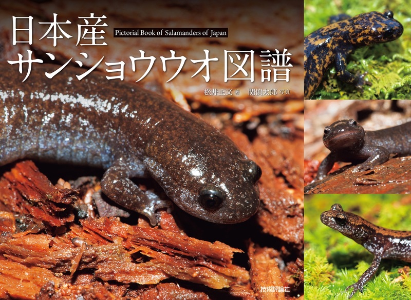 書籍「日本産サンショウウオ図譜」のカバー画像