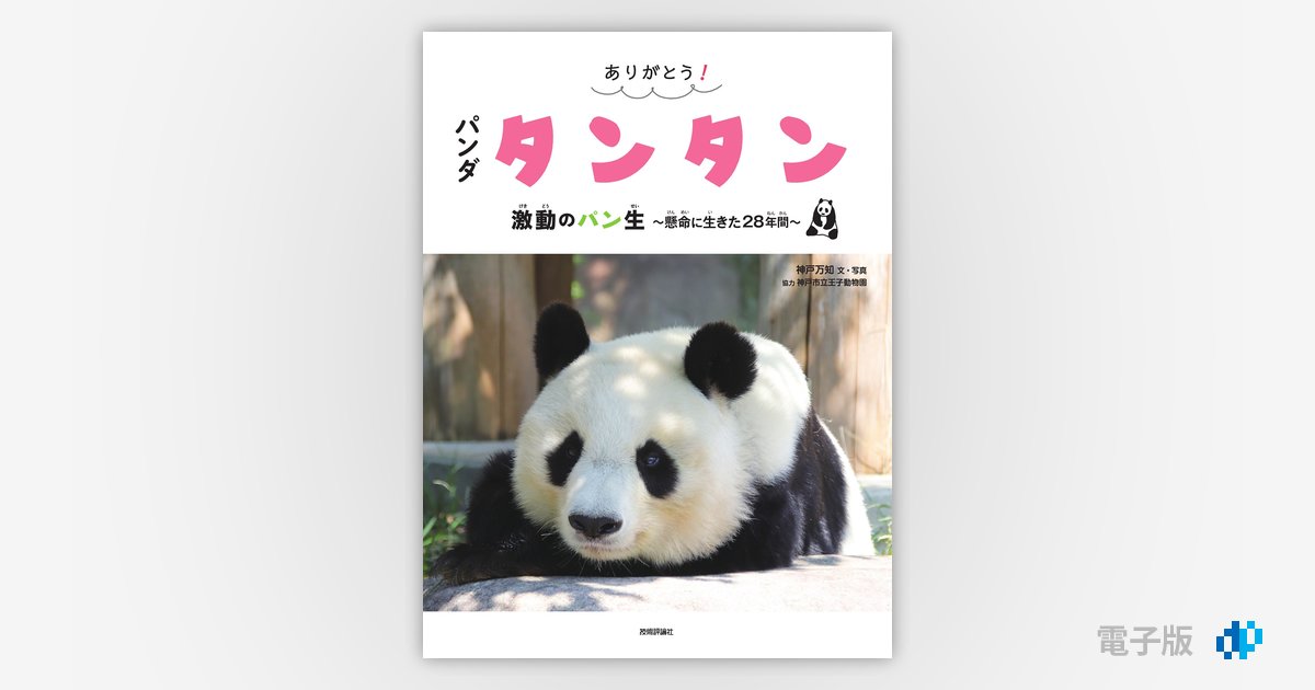 2025新商品 978-4-297-14376-3.jpg パン