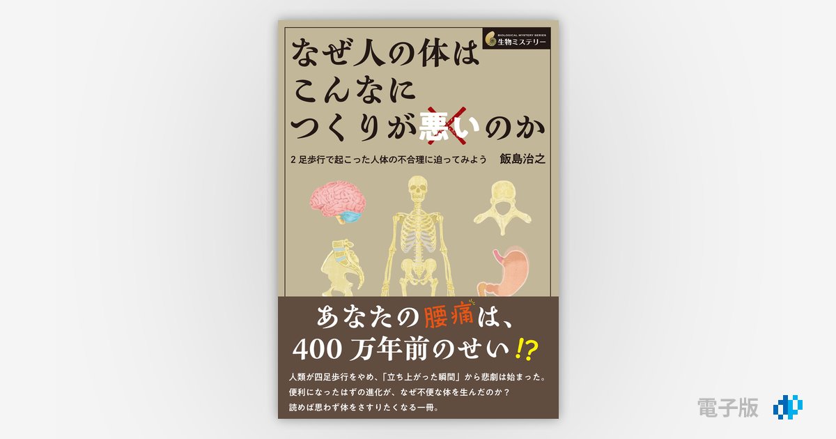 なぜ人の体はこんなにつくりが悪いのか ――2足歩行で起こった人体の不